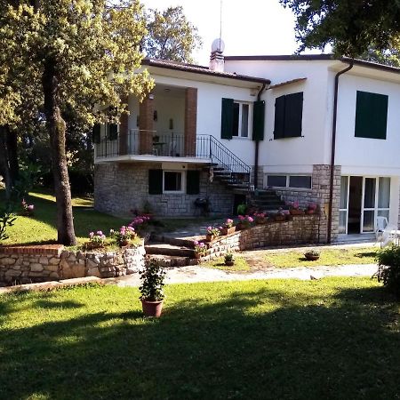 Villa Aurora Tirrenia Bagian luar foto