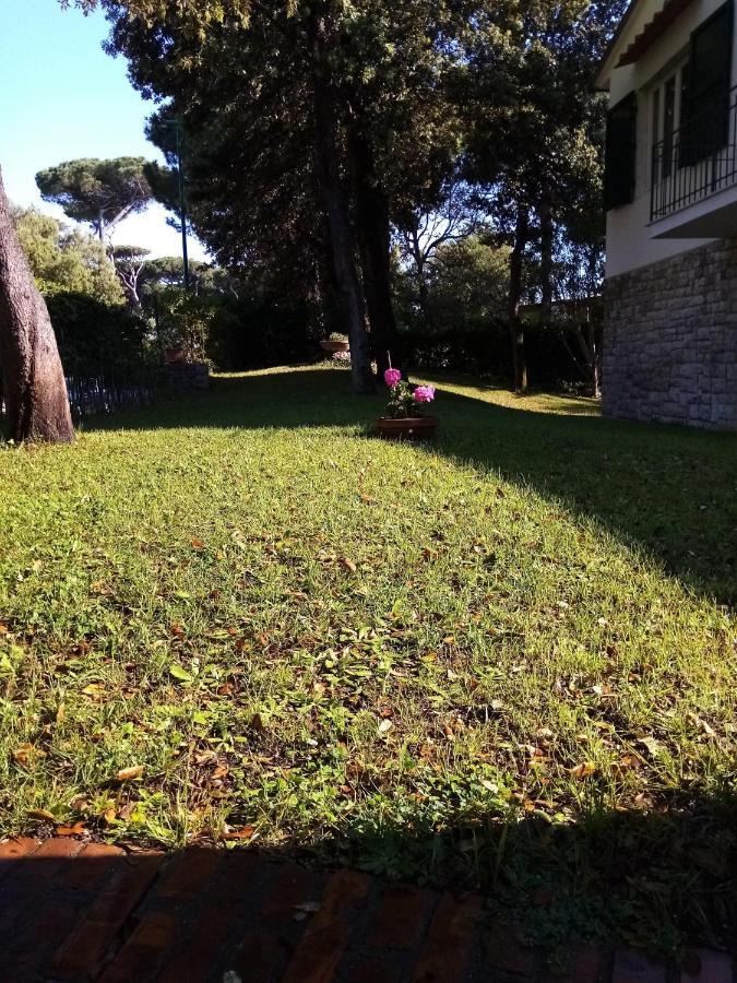 Villa Aurora Tirrenia Bagian luar foto